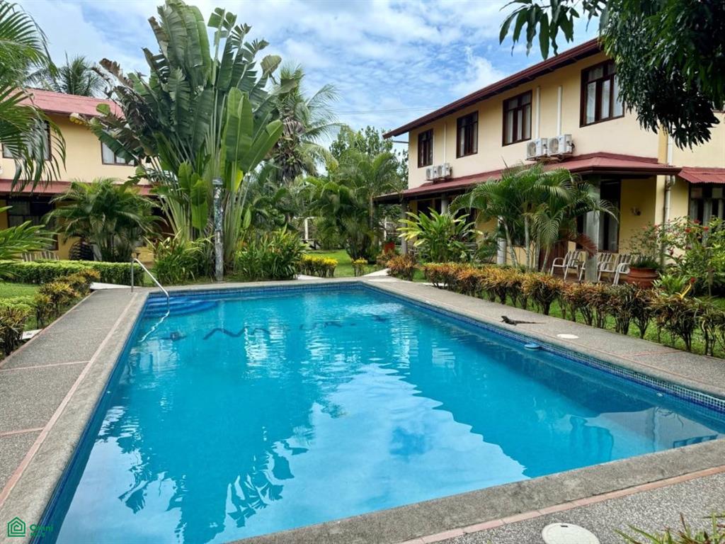 Nasua Puntarenas