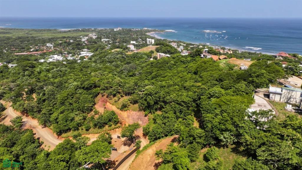 Calle Central Tamarindo Guanacaste