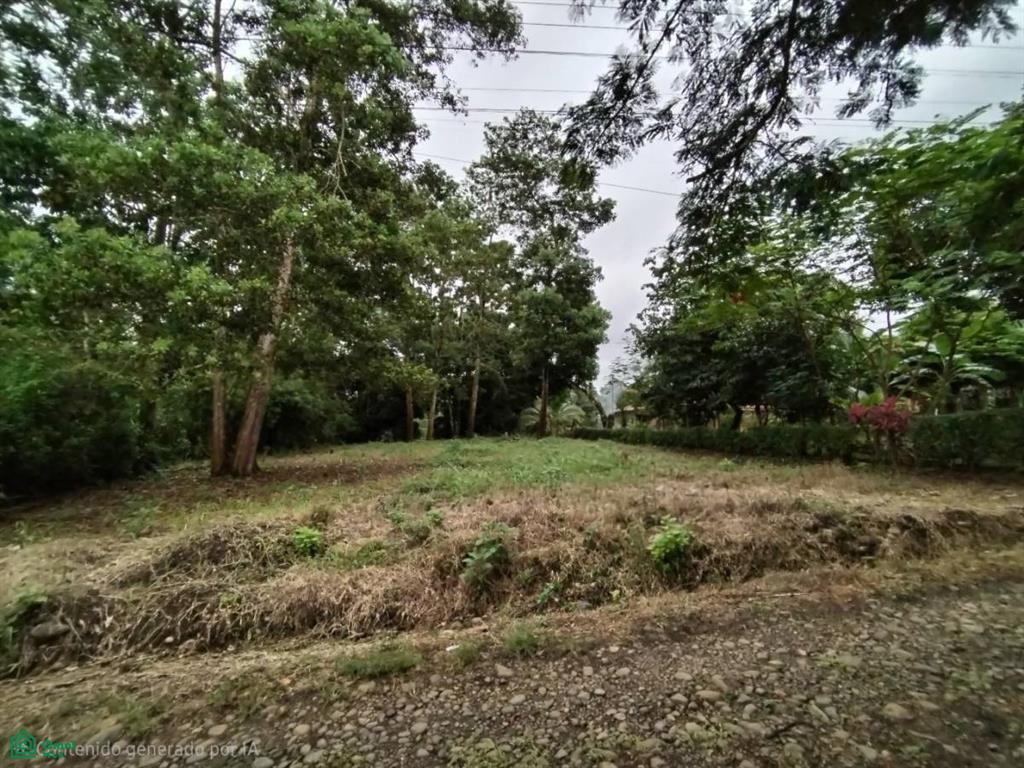 San Isidro San Ramon Alajuela