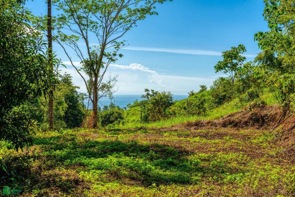 Puntarenas
