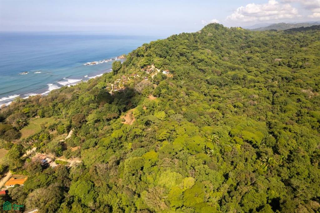 Puntarenas