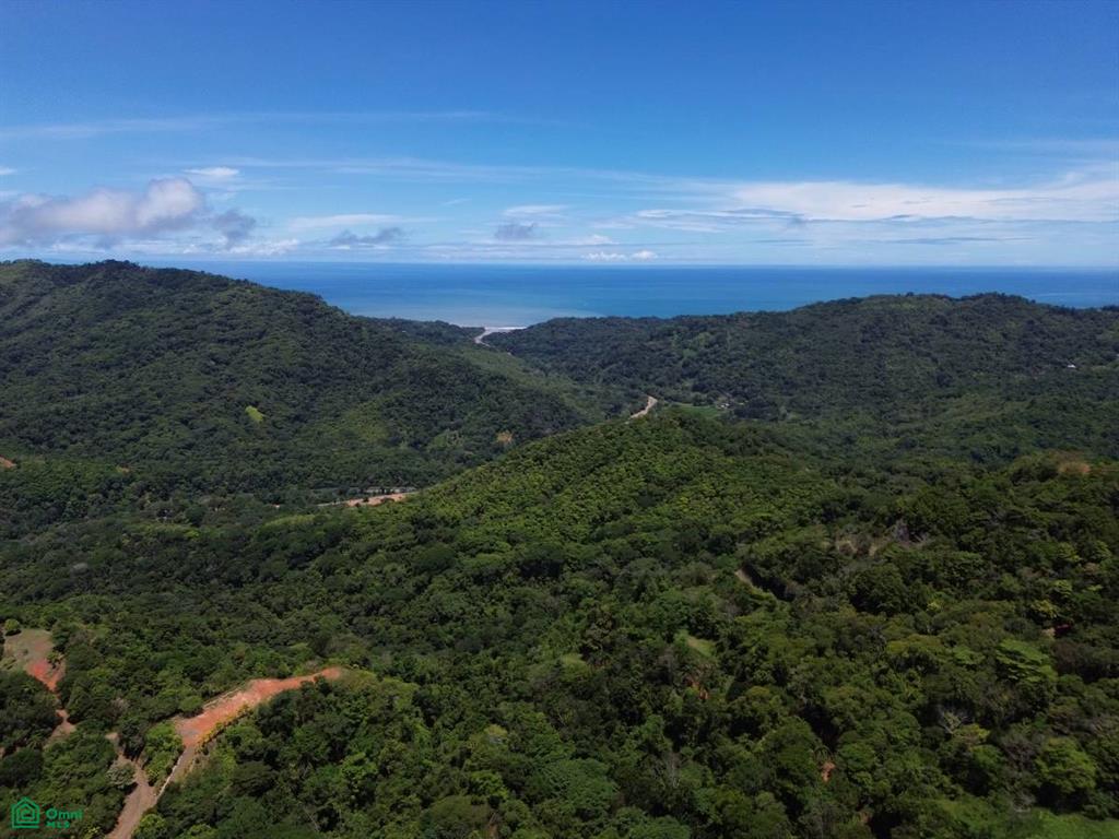 Puntarenas
