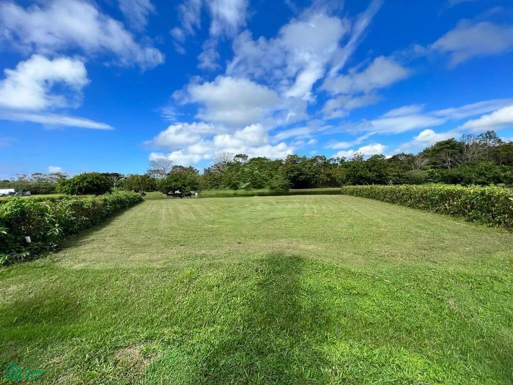2 Playa Hermosa Puntarenas