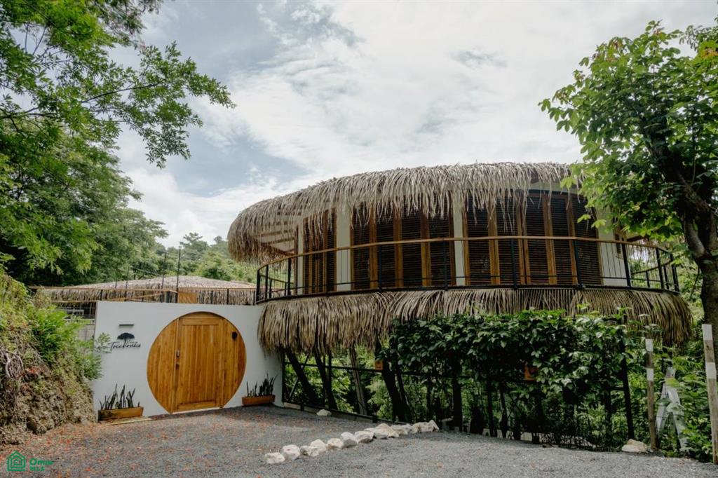 Nosara, Nicoya, Nicoya, Guanacaste, Costa Rica 50206