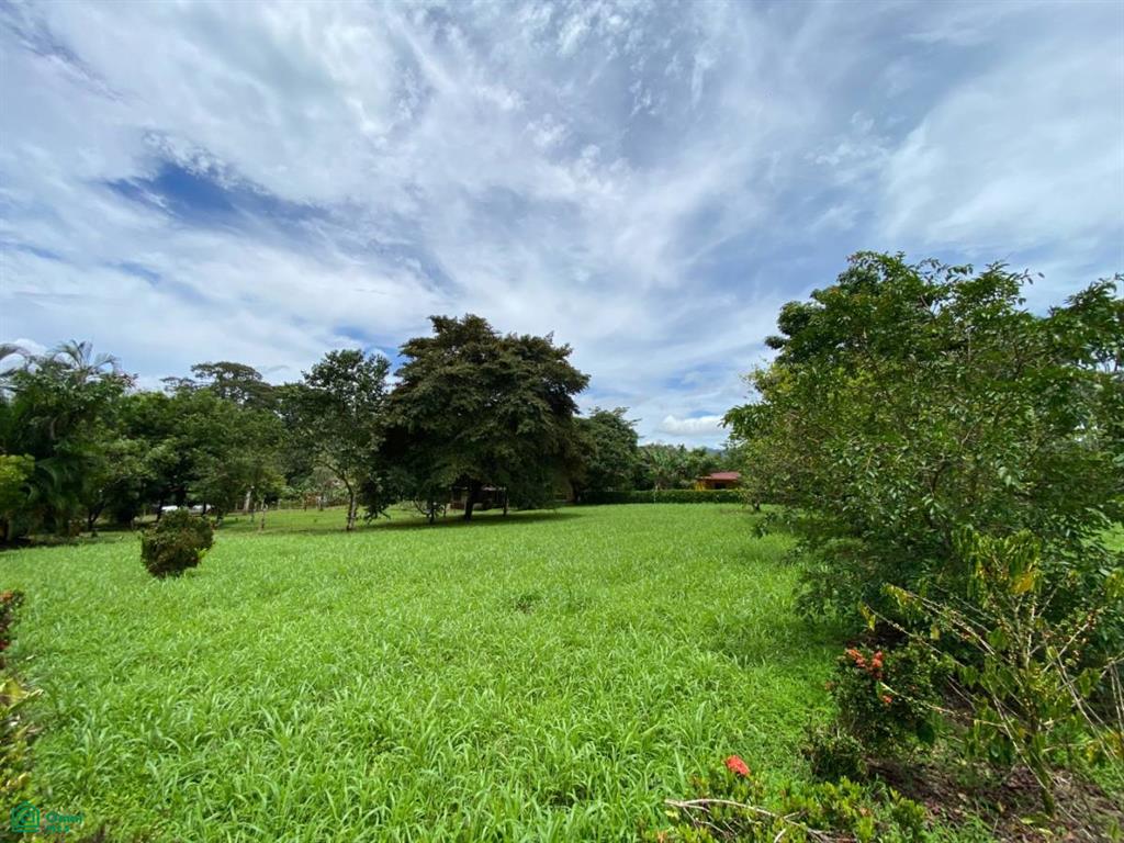 Chachagua, Peas Blancas, San Ramon, San Ramon, Alajuela, Costa Rica 20213