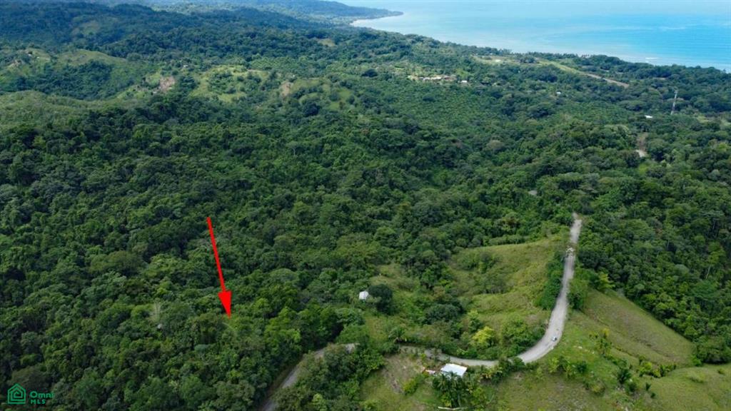 Calle 611 Cuervito De Pavones Pavon Puntarenas