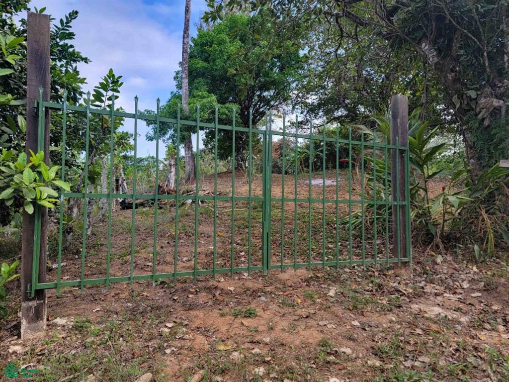 Calle 611 Pavon Puntarenas