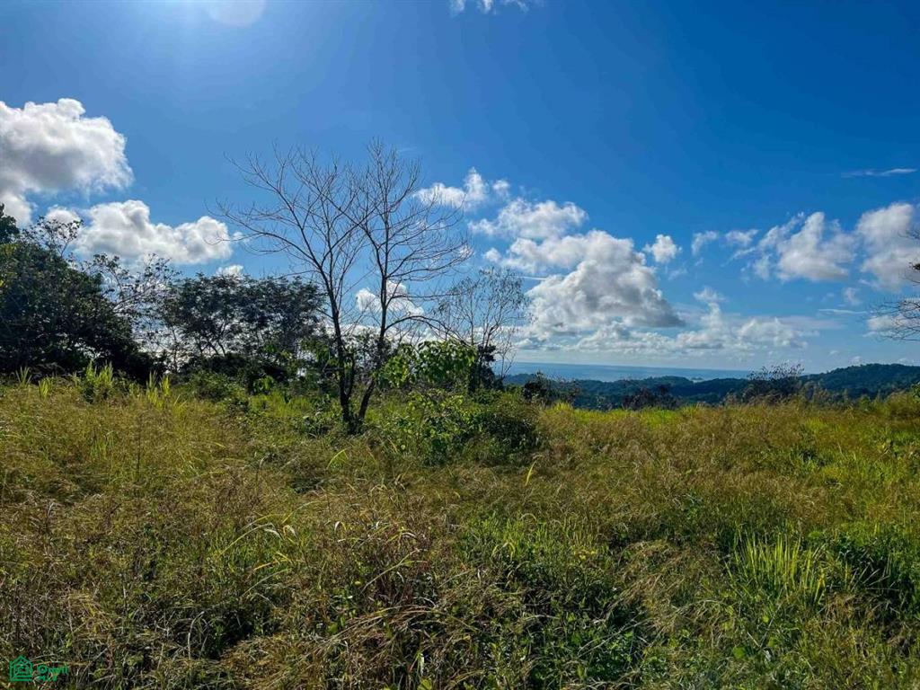 Flat Ocean View Lot Puntarenas