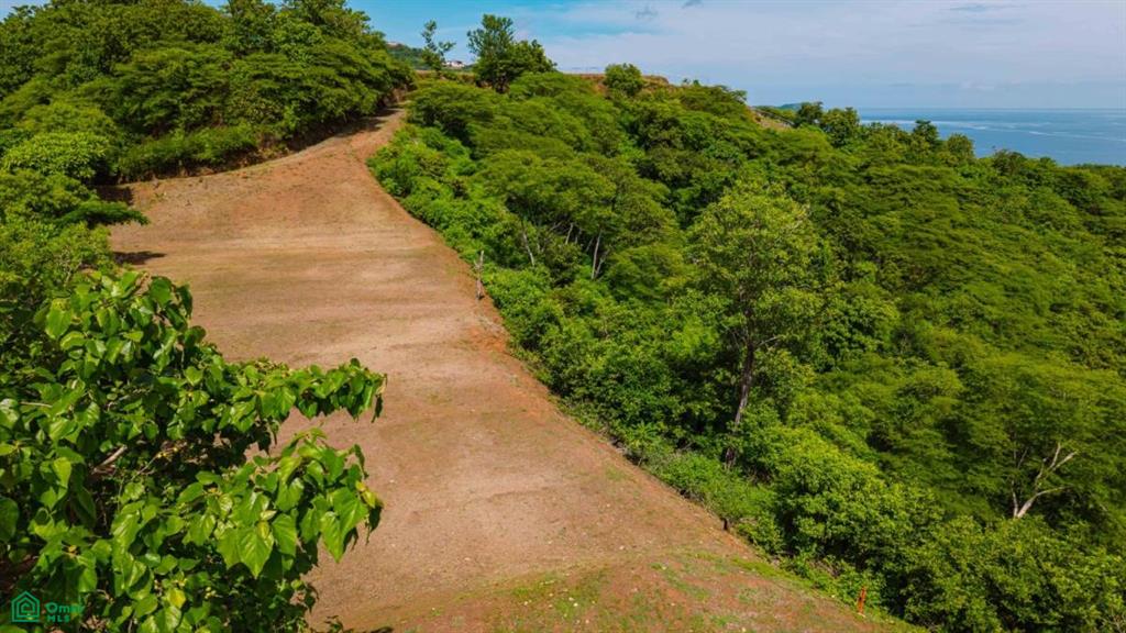 Guanacaste