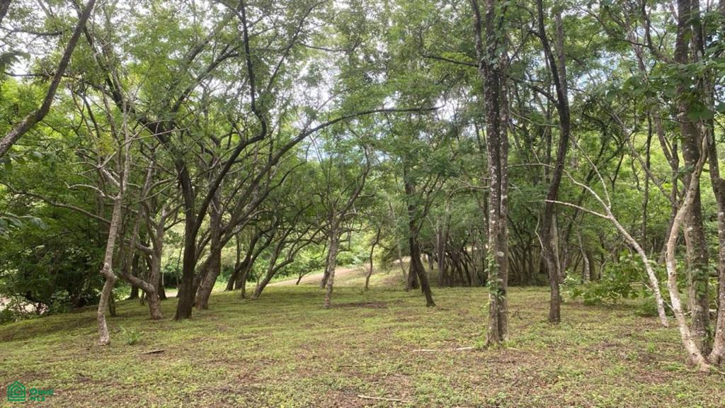 Santa Rosa Tamarindo Guanacaste