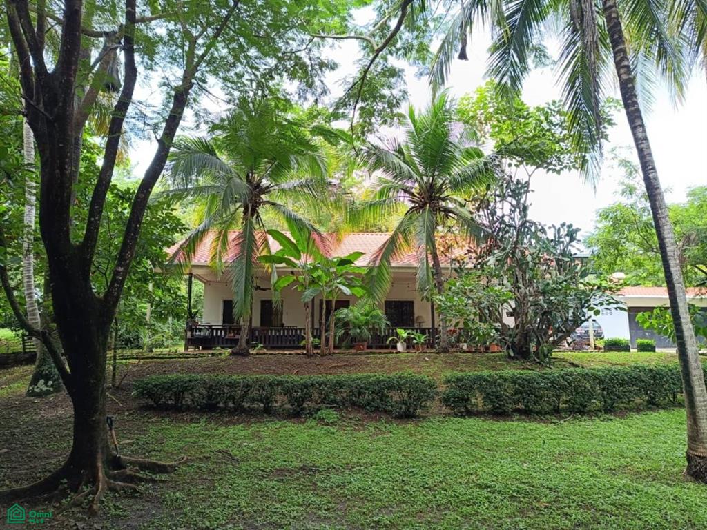 Villarreal Tamarindo Guanacaste