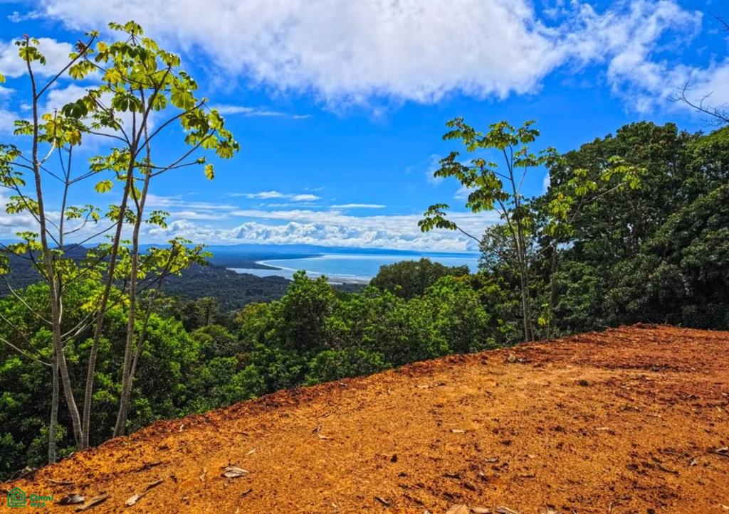 Ballena Views Cinco Vent Puntarenas