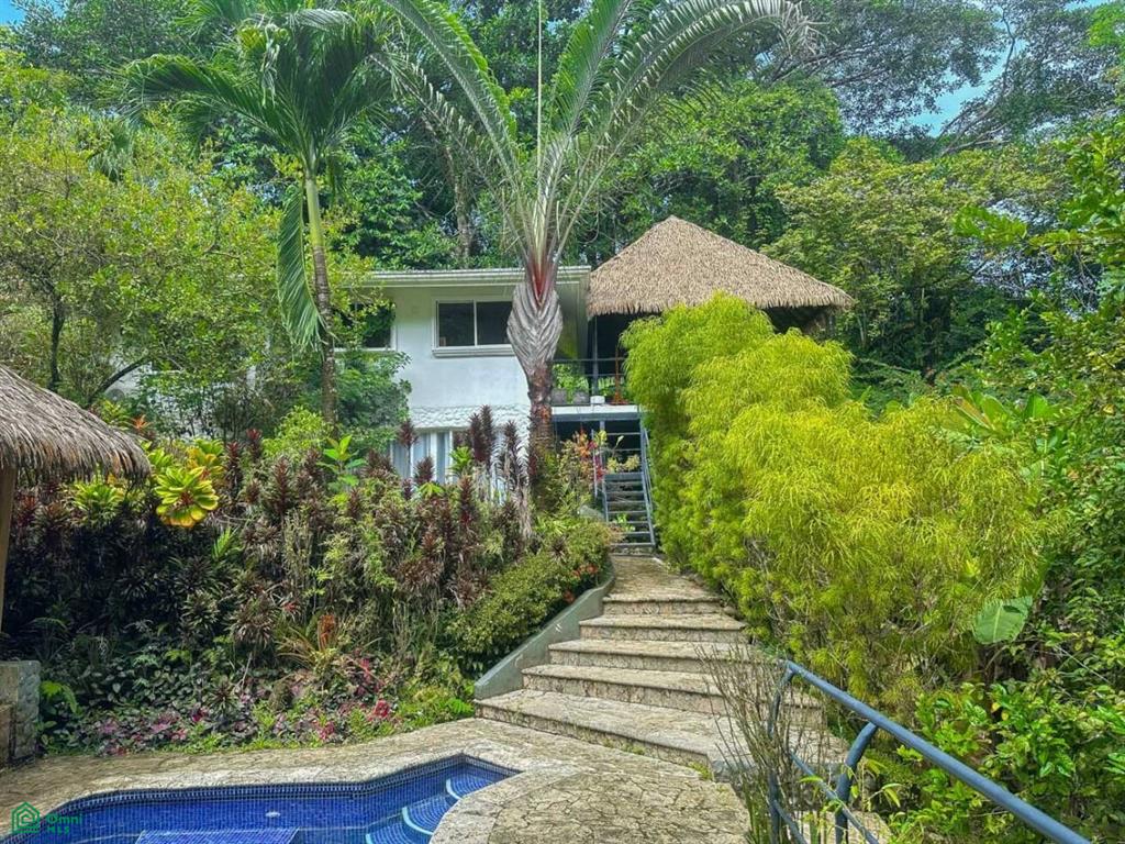 Calle Papagayo, Ojochal, Puerto Cortes, Osa, Puntarenas, Costa Rica 60501