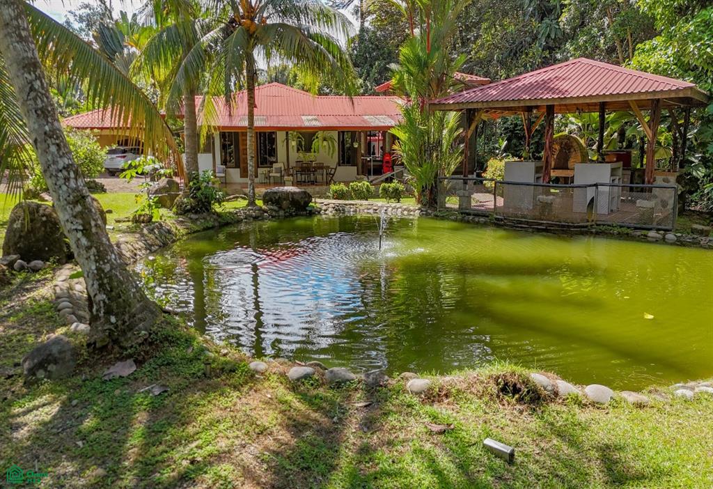 60501 Calle Del Puente, Ojochal, Puerto Cortes, Osa, Puntarenas, Costa Rica 60501