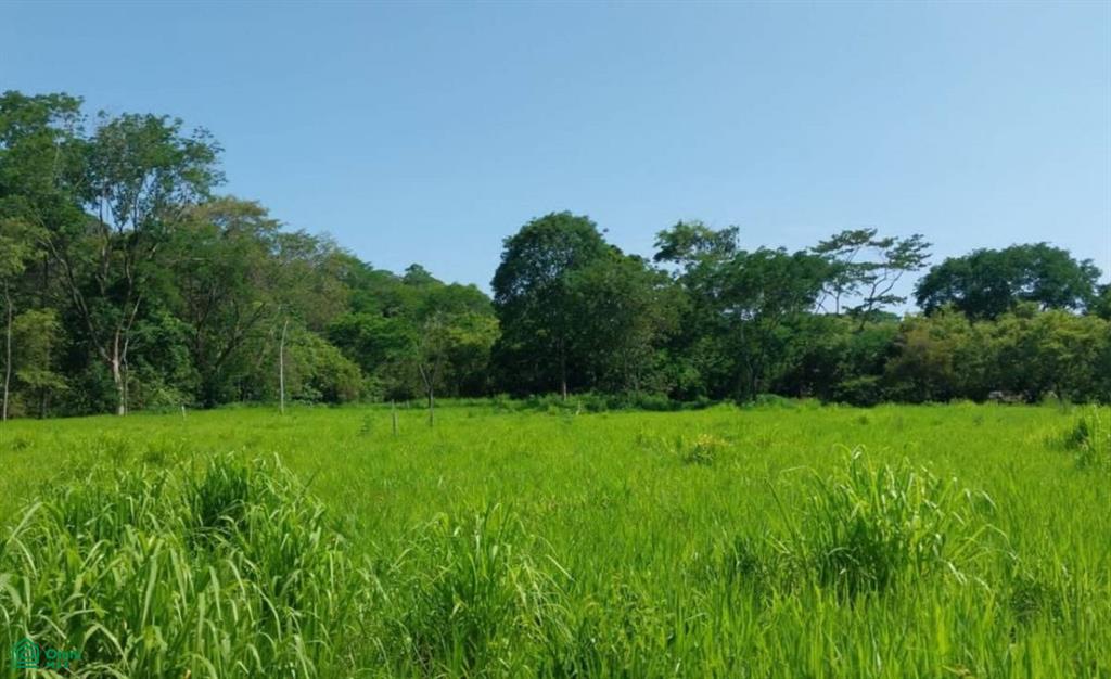 Lot 11 Acres Puntarenas