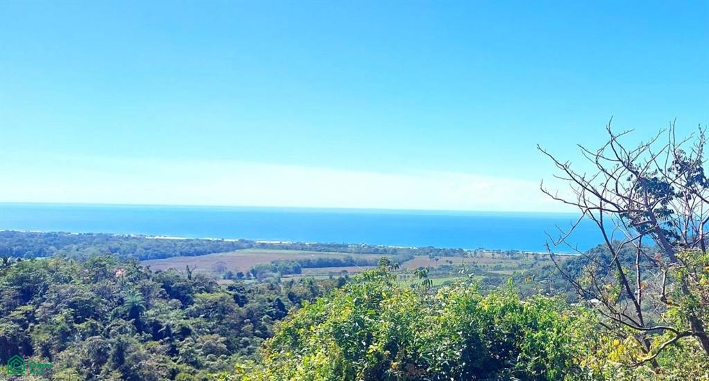 Hermosa Puntarenas