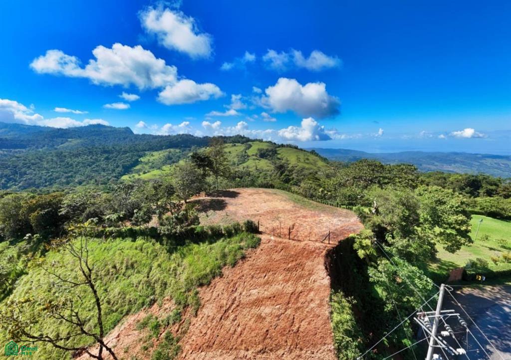 Finca Alto San Juan San Jose