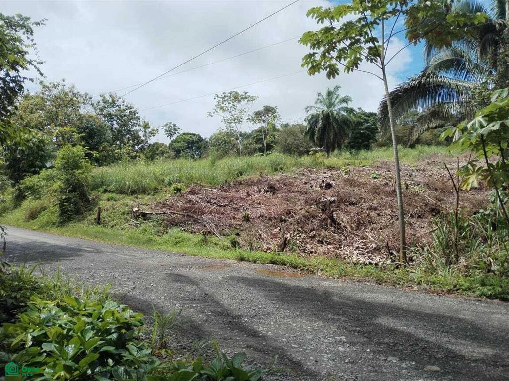 Calle Parcelas De Damas, Parrita, Parrita, Parrita, Puntarenas, Costa Rica 30106