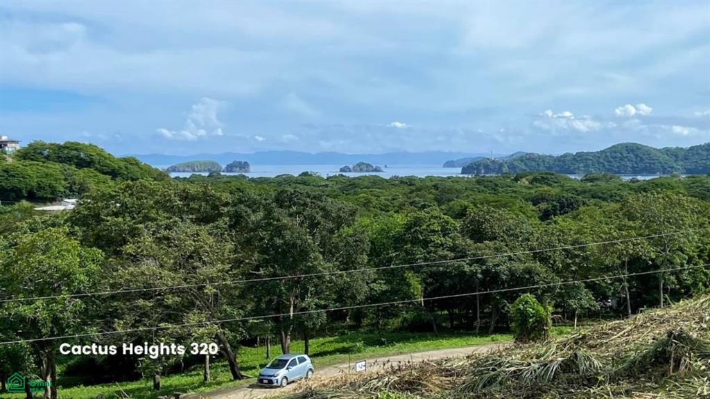 320 Cactus Heights Guanacaste