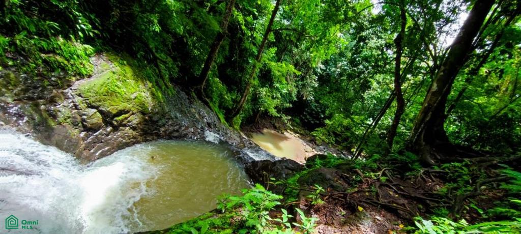 s/n Las Pilas Pirris, Parrita, Parrita, Parrita, Puntarenas, Costa Rica