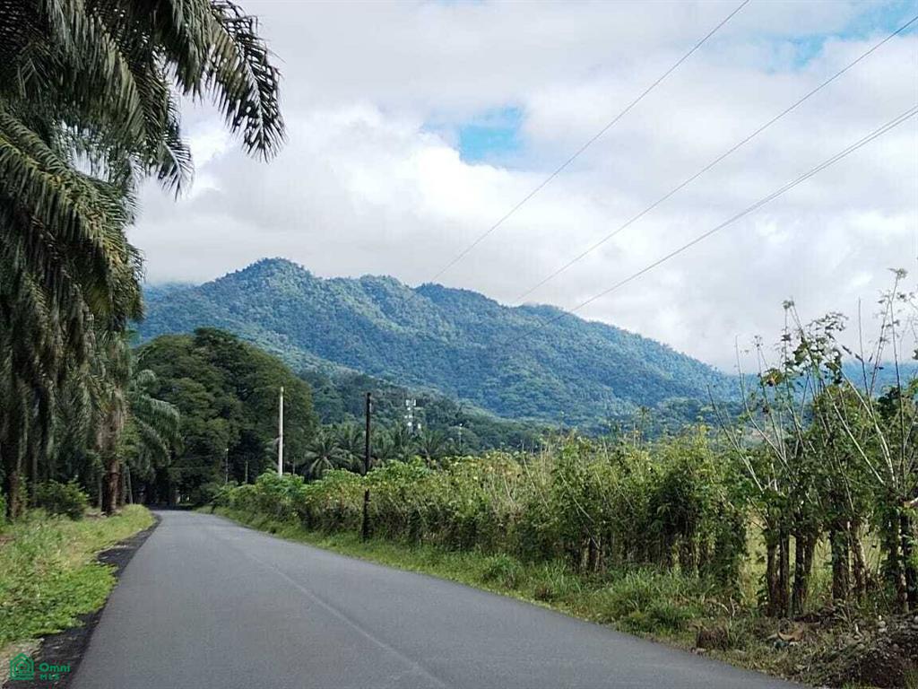 Cerros Puntarenas