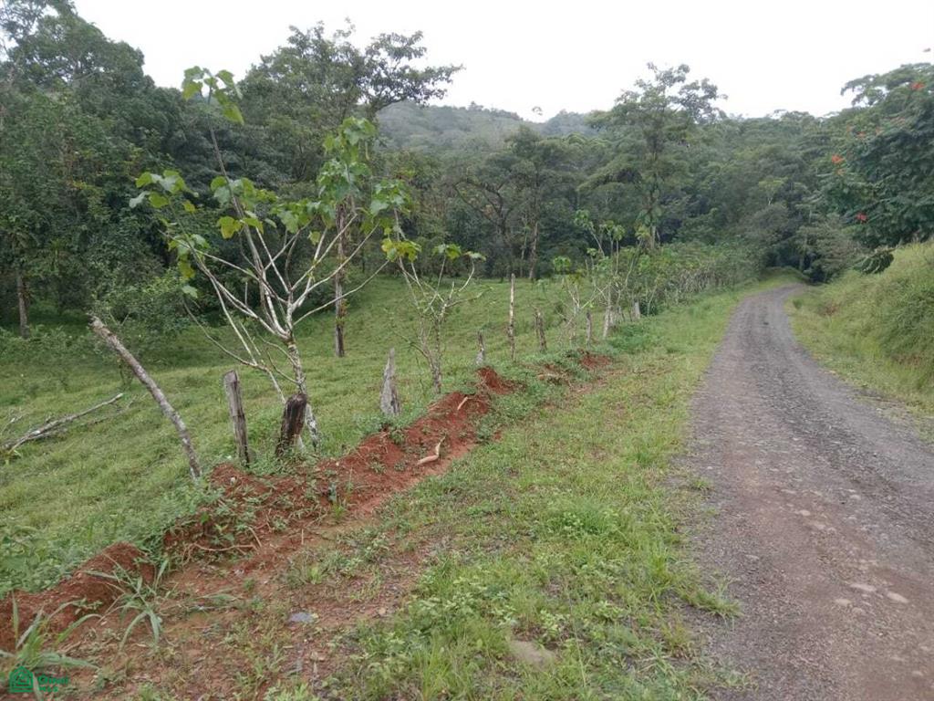 Sn Bijagual Carara Turrubares San Jose