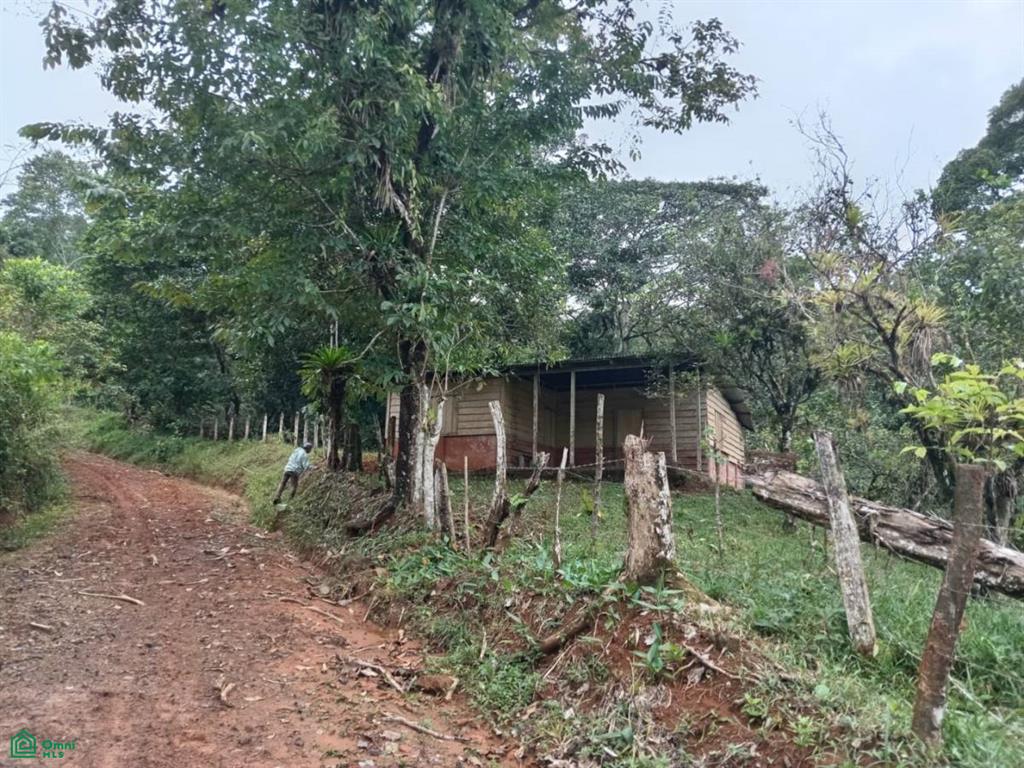 Sn Bijagual Carara Turrubares San Jose