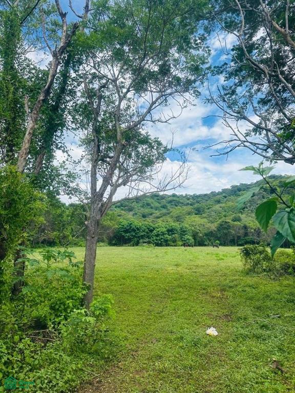 Entre Huacas Y Villarreal Santa Cruz Guanacaste