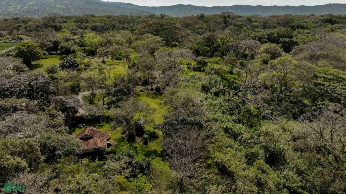Prime Developement Land f Near 27 Highway, Guácima, Alajuela, Alajuela, Alajuela, Costa Rica 20105 Prime Developement Land f Near 27 Highway, Guácima, Alajuela, Alajuela, Alajuela, Costa Rica 20105