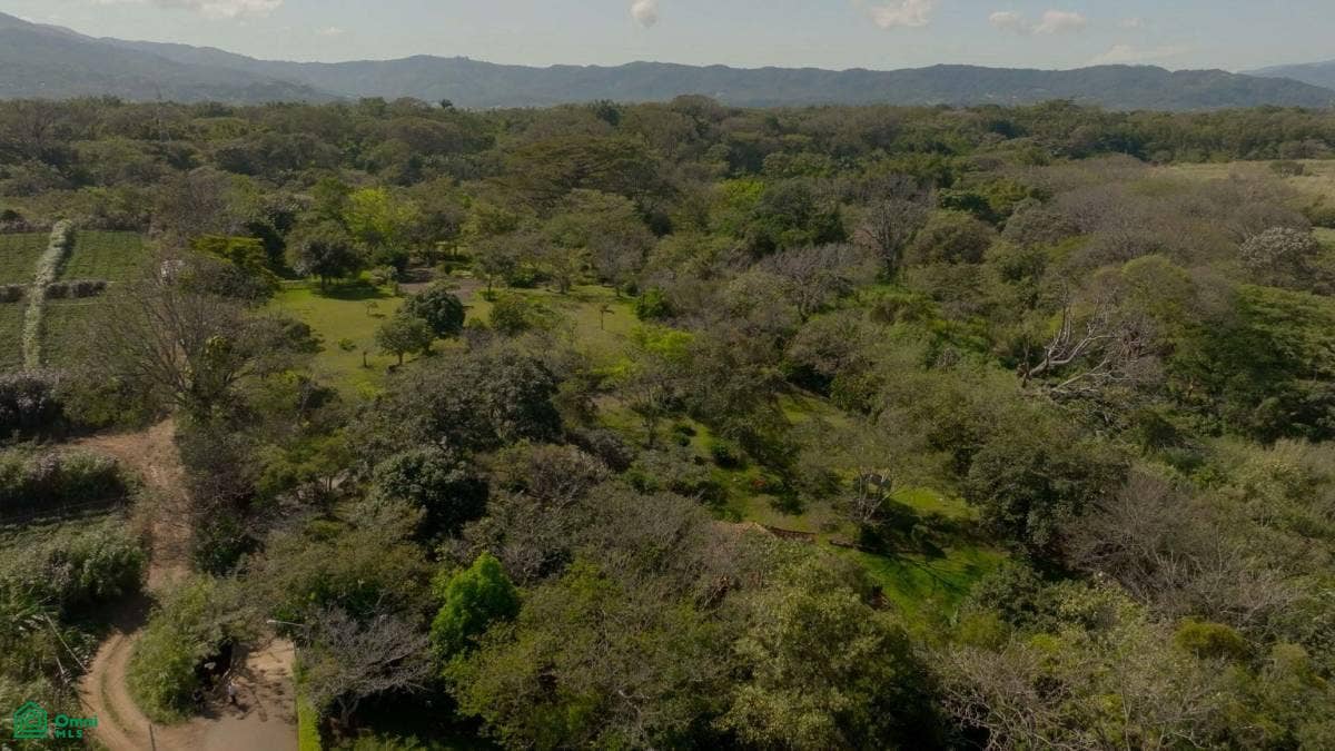 Prime Developement Land f Near 27 Highway, Guácima, Alajuela, Alajuela, Alajuela, Costa Rica 20105 Prime Developement Land f Near 27 Highway, Guácima, Alajuela, Alajuela, Alajuela, Costa Rica 20105