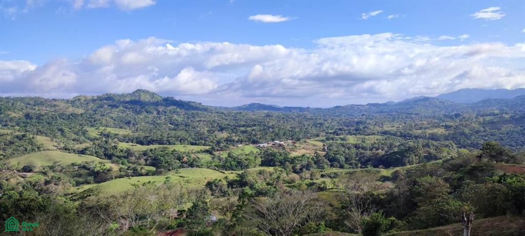 Finca Paco Montero Bijagual Carara Turrubares Puntarenas