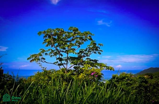 La Reserva Camaronal Lot 39 Zapotal Guanacaste