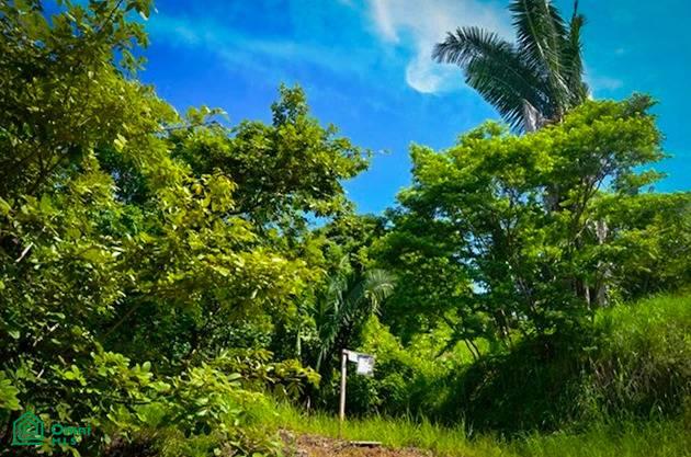 La Reserva Camaronal Lot 44 Zapotal Guanacaste