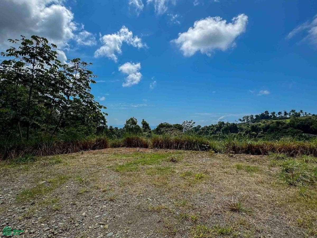 Ocean View Parcels Portalon, Manuel Antonio, Quepos, Puntarenas, Costa Rica 60601