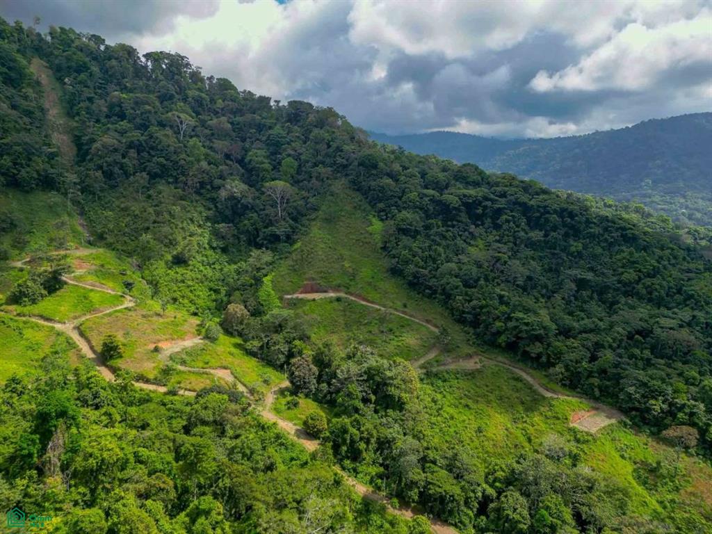 Ocean View Parcels Portalon Manuel Antonio Puntarenas