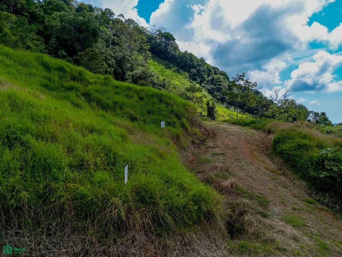 Ocean View Parcels Portalon, Manuel Antonio, Quepos, Puntarenas, Costa Rica 60601