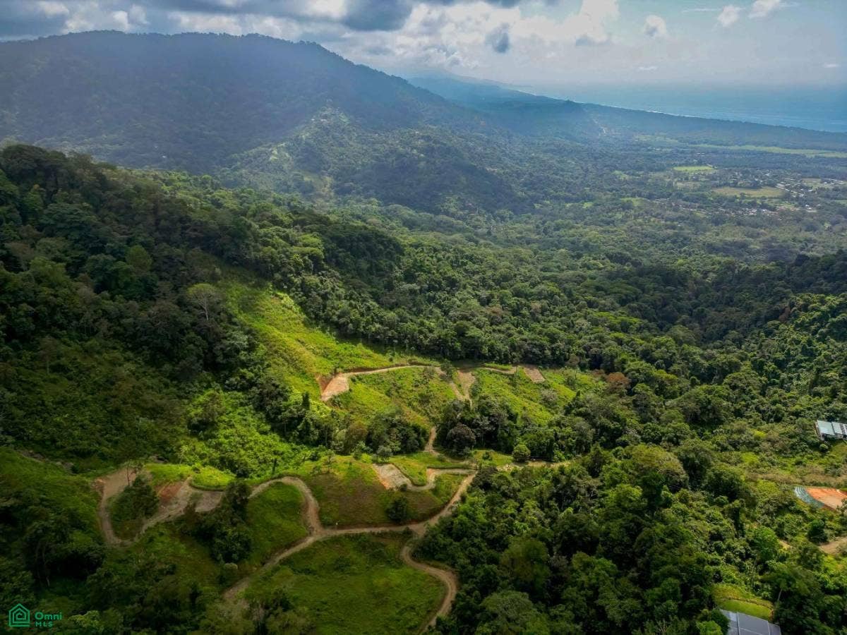 Ocean View Parcels Portalon, Manuel Antonio, Quepos, Puntarenas, Costa Rica 60601