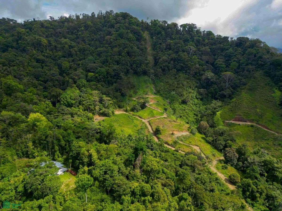 Ocean View Parcels Portalon, Manuel Antonio, Quepos, Puntarenas, Costa Rica 60601