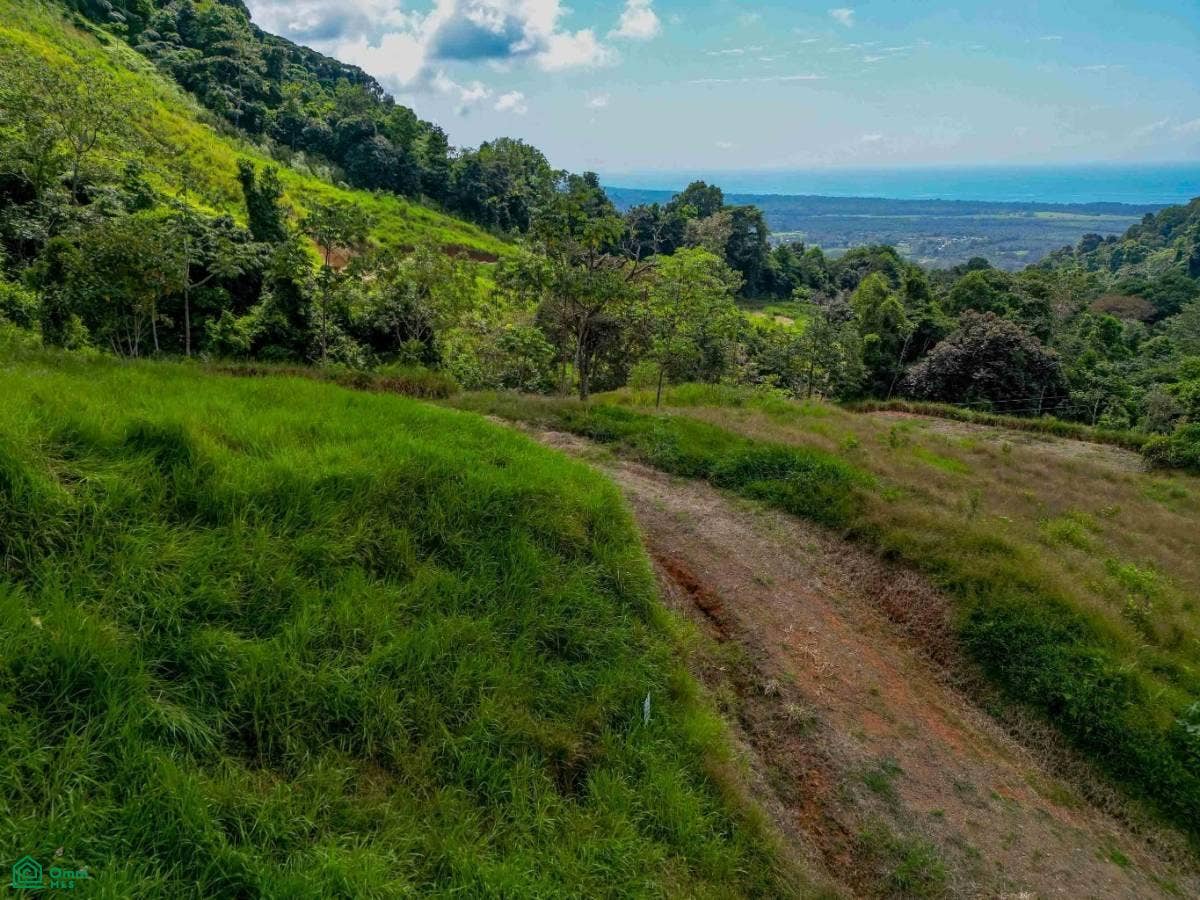 Ocean View Parcels Portalon, Manuel Antonio, Quepos, Puntarenas, Costa Rica 60601