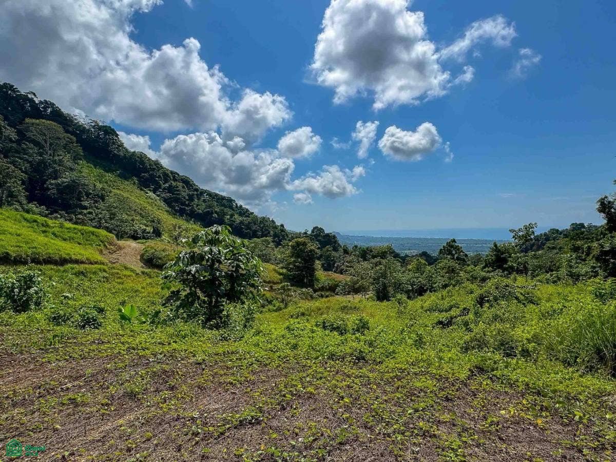 Ocean View Parcels Portalon, Manuel Antonio, Quepos, Puntarenas, Costa Rica 60601