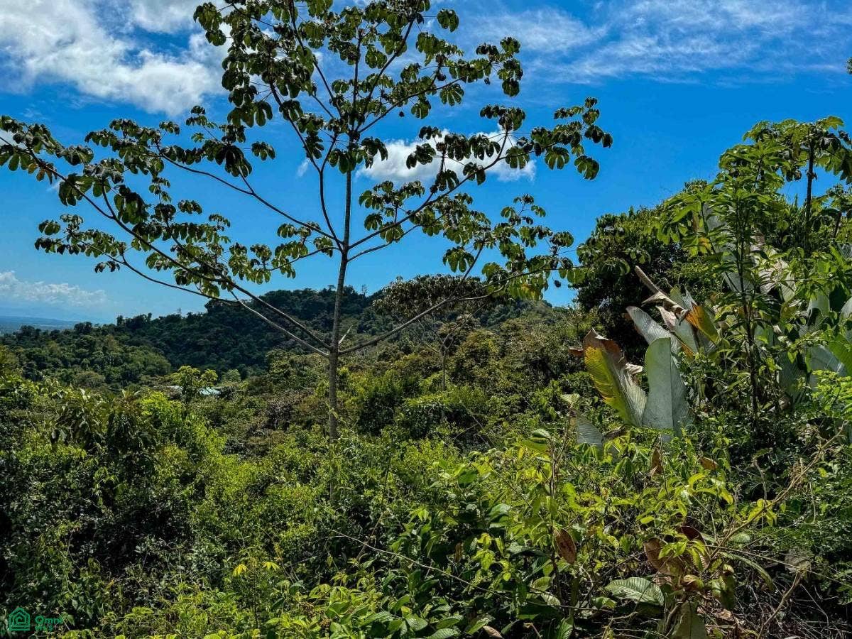 Panoramic View Estate El El Salto, Manuel Antonio, Quepos, Puntarenas, Costa Rica 60601