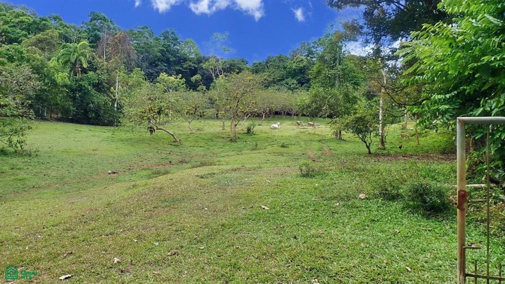 Finca 517 Acres Tierras Morenas San Jose