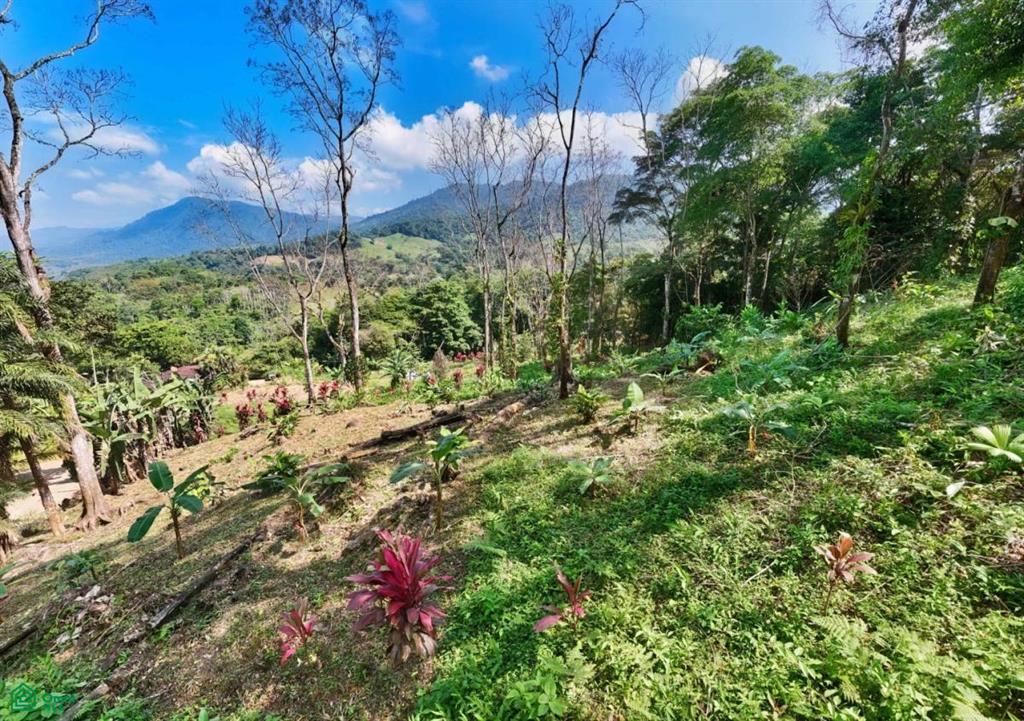 Lot 098 Acre San Jose