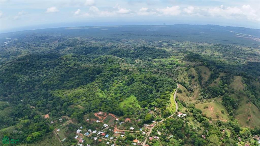 Londres Puntarenas