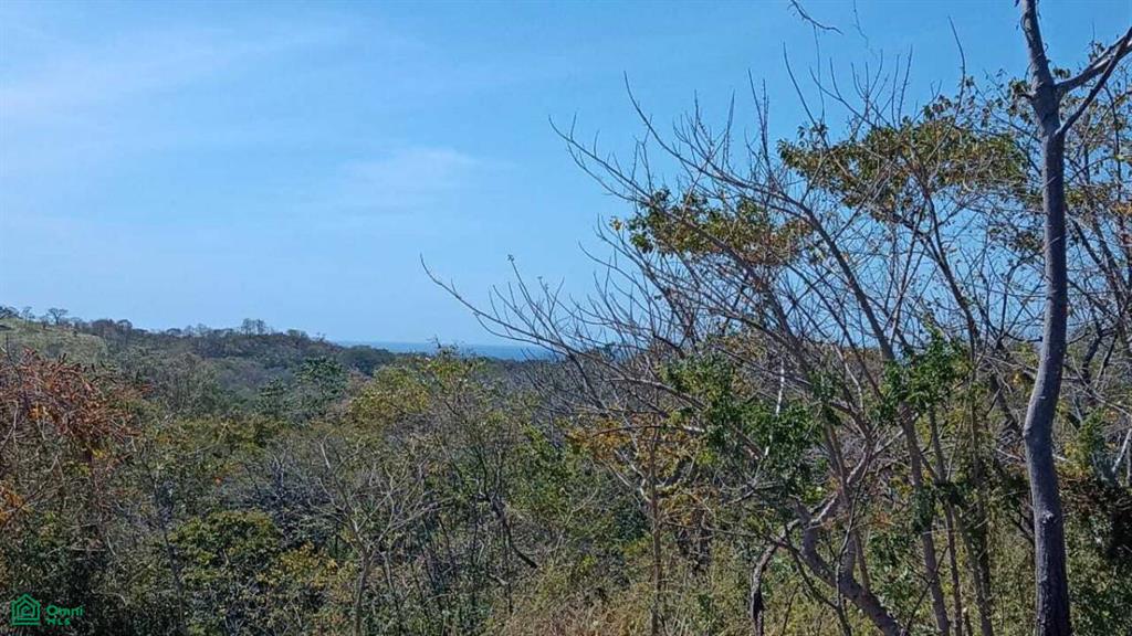 Eco Development Gated Community Santa Cruz Guanacaste