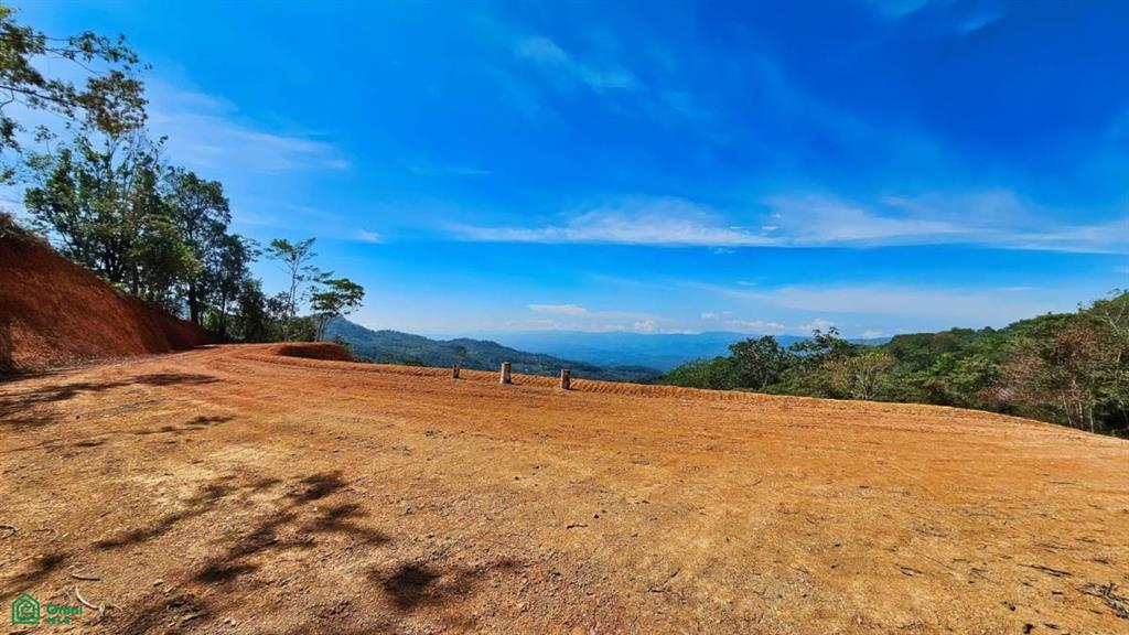 Finca 42 Acres San Jose