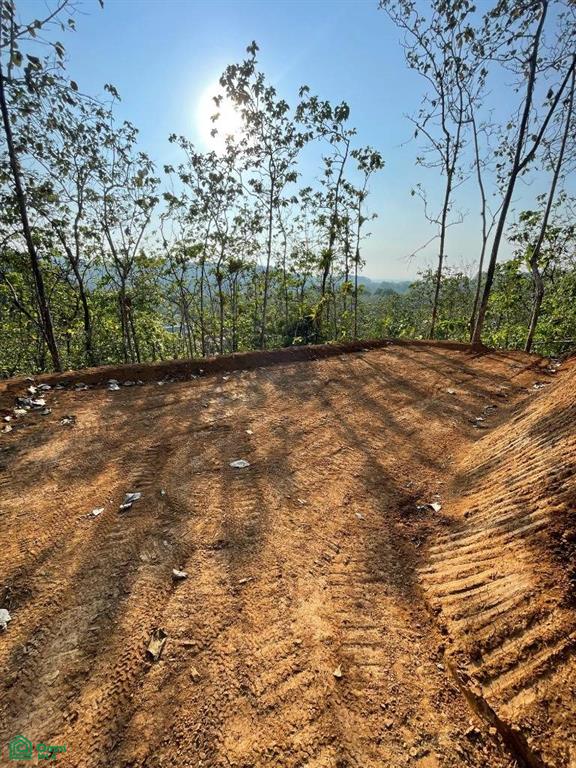 29 Plantation Acres Puntarenas