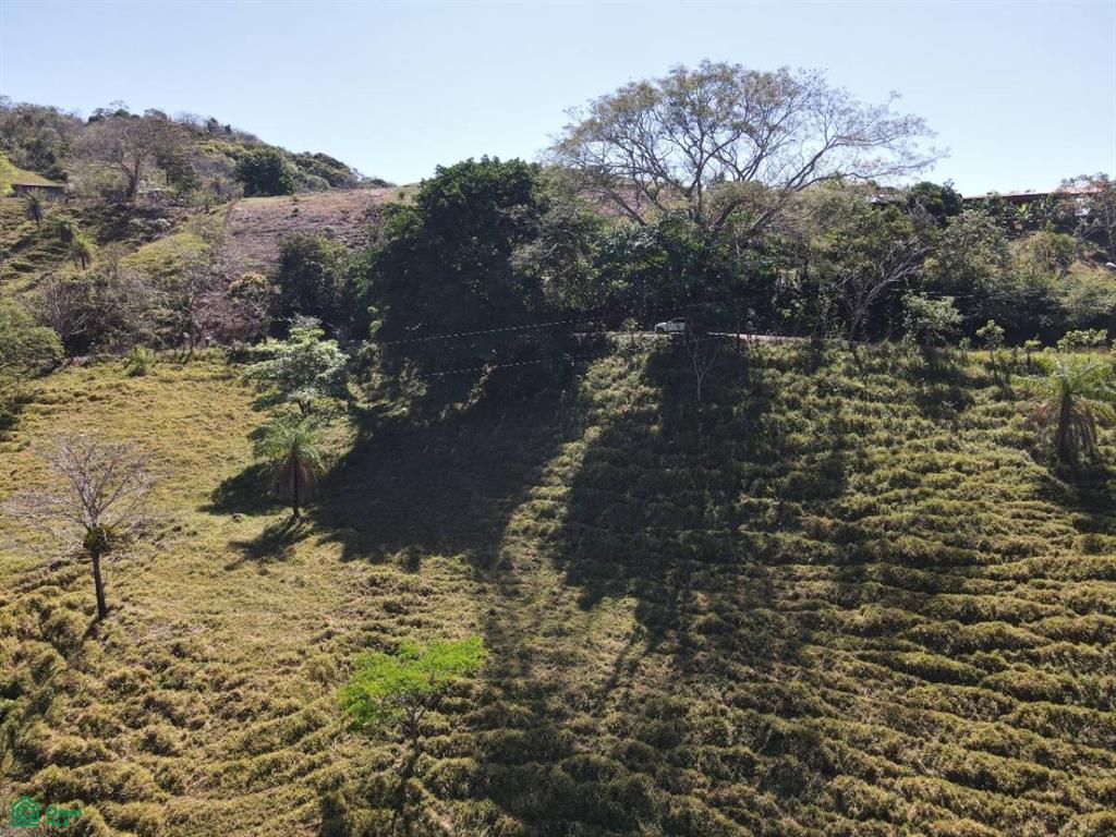 Calle La Union, Desmonte, San Mateo, San Mateo, Alajuela, Costa Rica