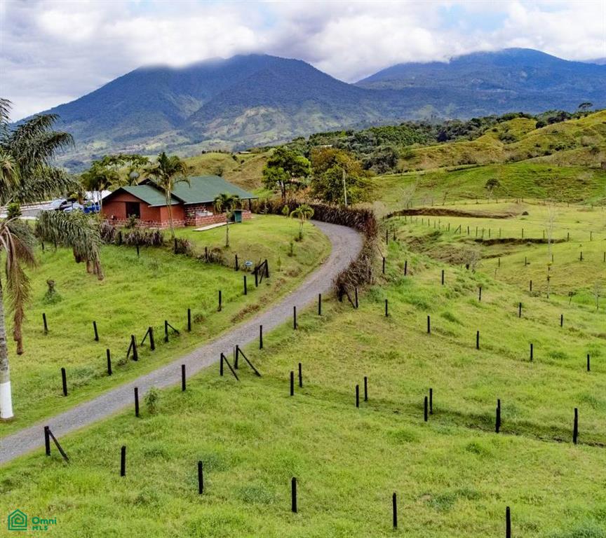 Venecia, San Carlos, San Carlos, Alajuela, Costa Rica 21005