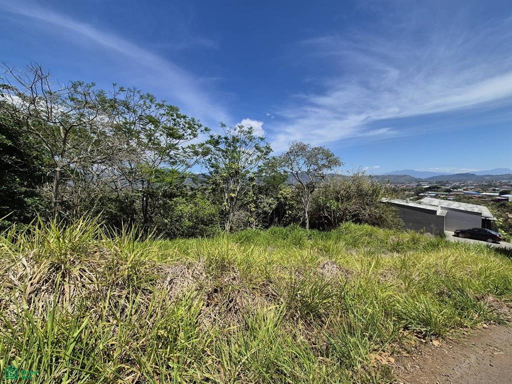 Palmares Alajuela